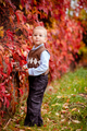 colors of Autumn
