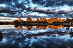 reflection