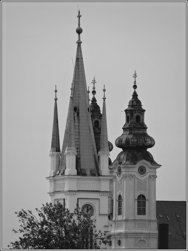 Nitra