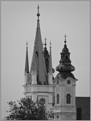 Nitra