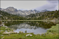 Pyreneje