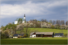 jaro na Uhlířském vrchu