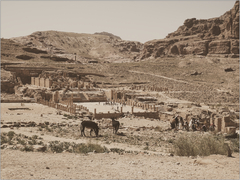 Petra