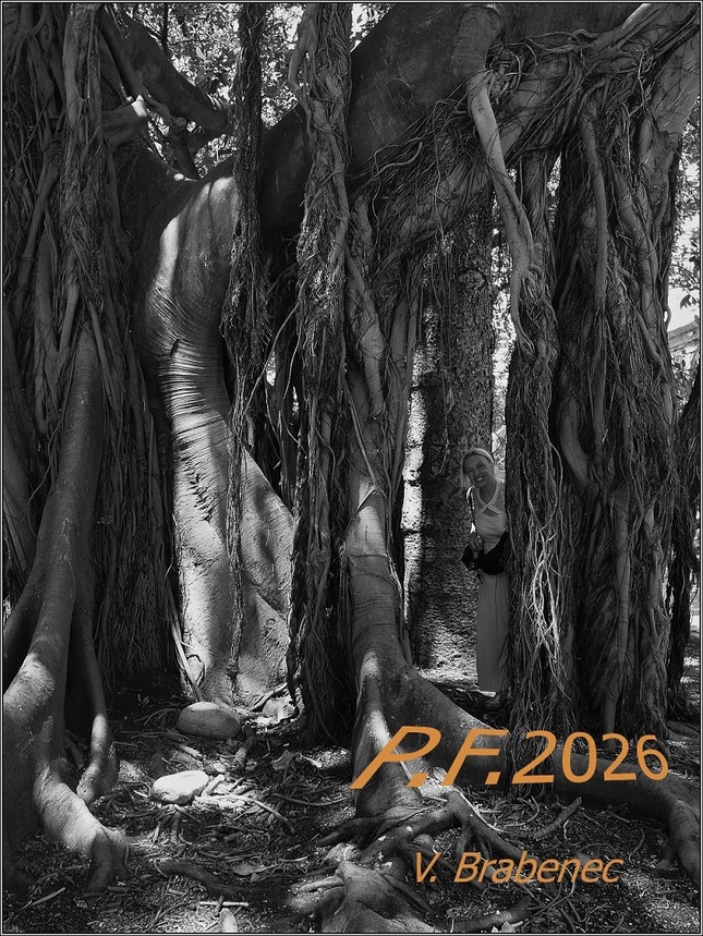 mnoho štěstí 2026