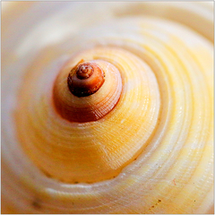 spirála