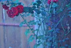 Skúška KMZ Helios 44-2 58mm