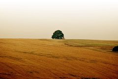 alone
