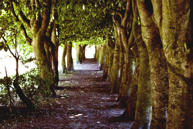 Tunel zo stromov Holandsku