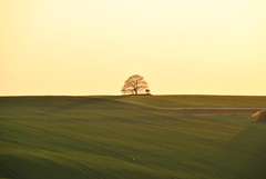 Alone