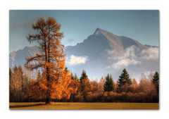 Jesenná ,farebná, ranná.