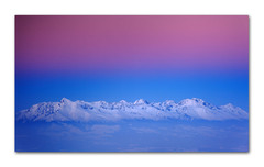 Pod ružovou perinou