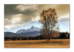 Podkriváňske briezky