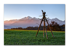 Pohľad zo zarosenej lúky