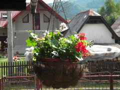 vidiek