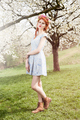 Spring Blossoms VII.