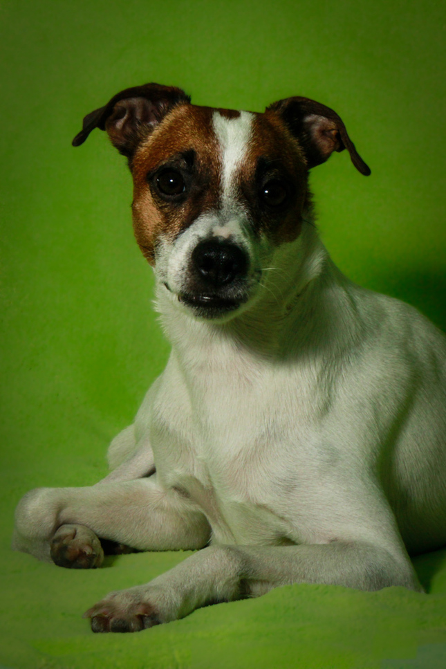 photosession-3