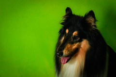 photosession-2