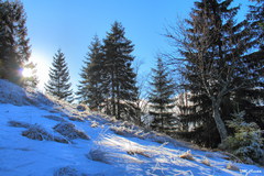 Veľká Fatra