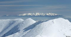Západné Tatry