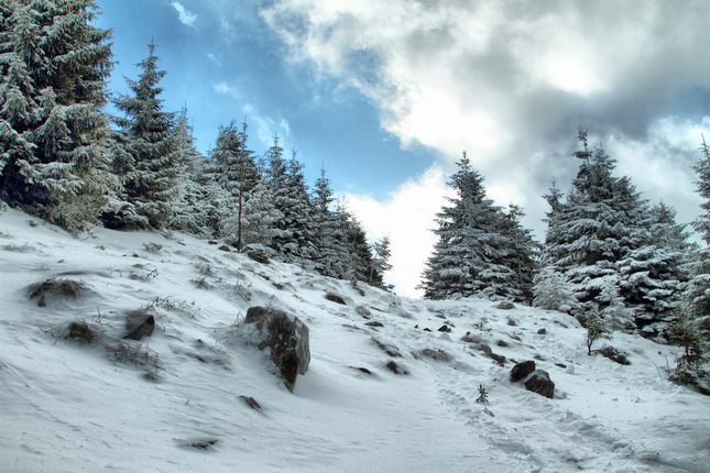 Chočské vrchy