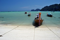 Phi-Phi