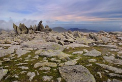 Bristly ridge