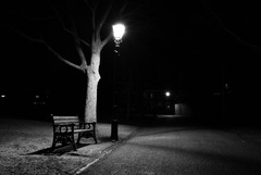Nocny park