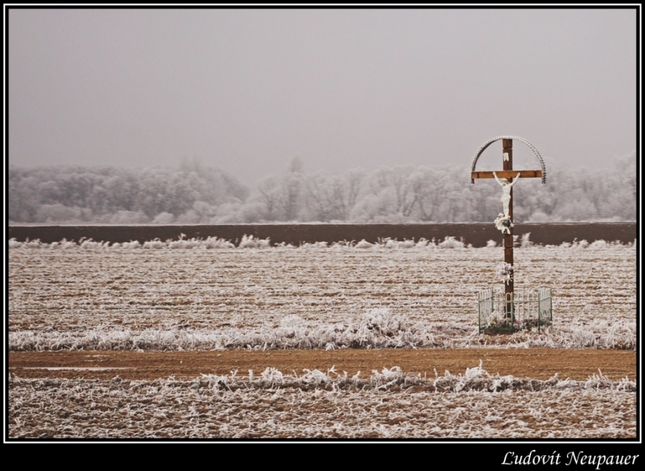 Kriz