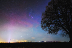 Orion