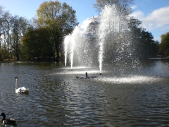 Hanley park