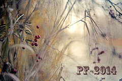 PF 2014