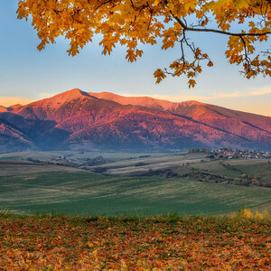 Západné Tatry a psík