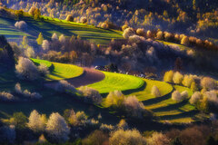 Hriňovské lazy III