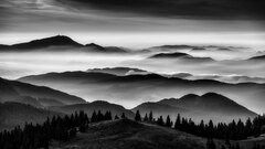 Velika Planina VI