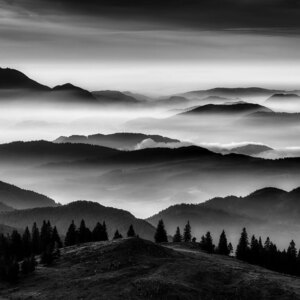 Velika Planina VI