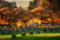 jeseň na cintoríne