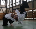 aikido