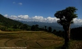 from vietnam to china