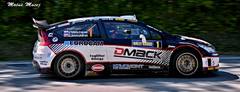 Rally KE 2013
