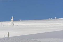 Pútnik