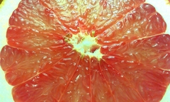Pomaranč