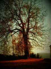 Strom.....