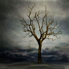 Strom