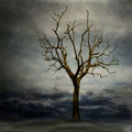 Strom