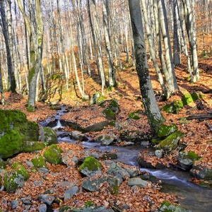 Pohľad z čarovného mosta