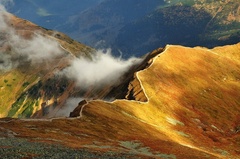 Západotatranské línie