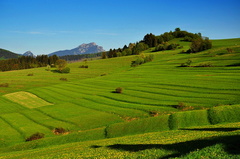 Jar nad Lutišami II