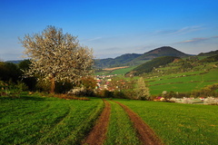 Jarnou cestičkou