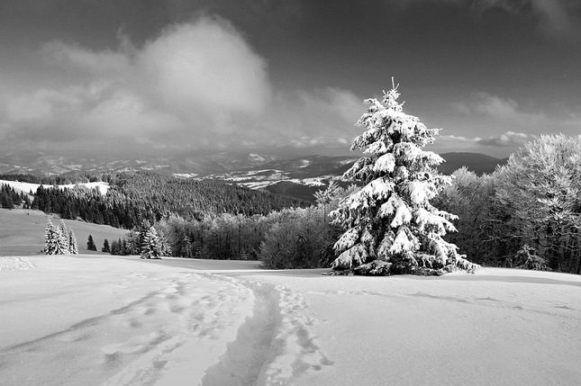 Zimný pozdrav z Rycierovej hory