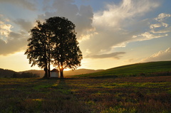 Západovka nad Rudinou